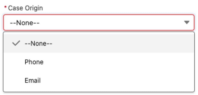 Salesforce Record Types Result Two